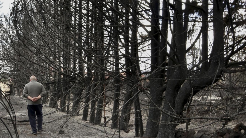 (19/6/22) Cuarto día del incendio en Sierra de la Culebra.