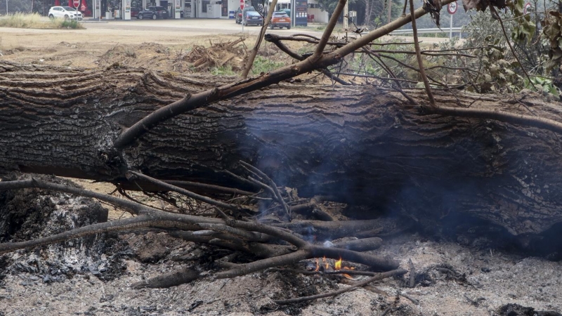 (19/6/22) Cuarto día del incendio en Sierra de la Culebra.