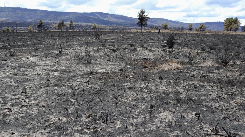 20/06/2022. Efectos provocados por el incendio forestal en la Sierra de la Culebra, en Villardeciervos, Zamora, a 20 de junio de 2022.