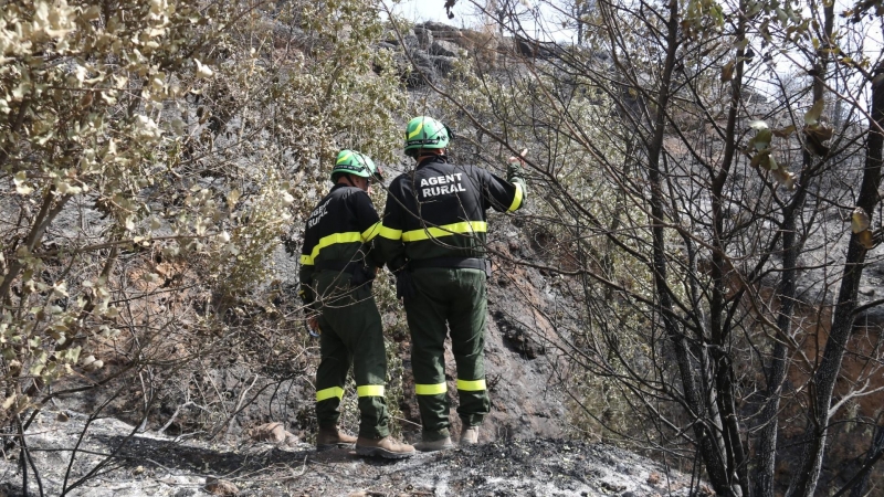 20/06/2022 - Investigadors dels Agents Rurals a la zona on va començar l'incendi de Baldomar, a Artesa de Segre.