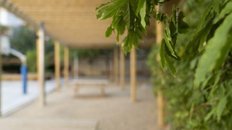 Los elementos vegetales se incorporan con más presencia 'verde' en los patios escolares.