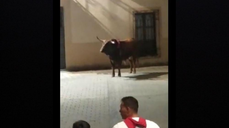 28/06/2022. Instantánea del vídeo difundido por PACMA, a través de su cuenta de Twitter, en el que se puede ver la ejecución pública de uno de los toros, a 26 de junio de 2022 en San Juan de Coria (Extremadura).