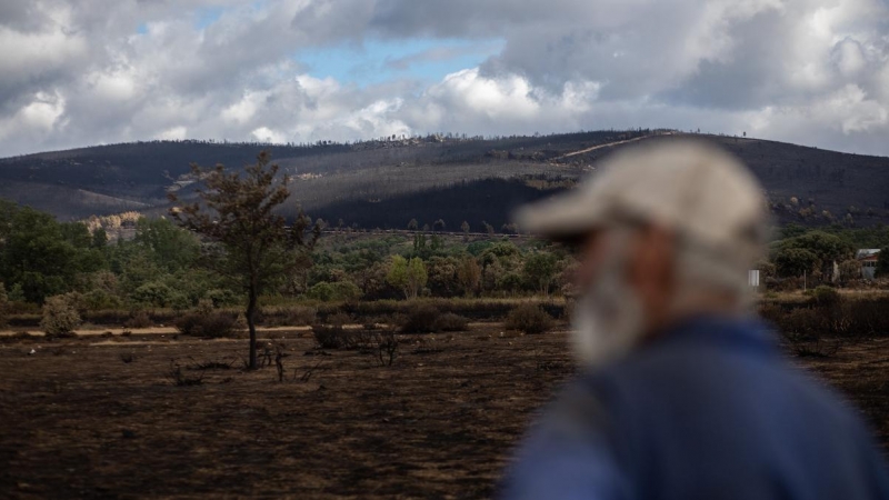 Un hombre mira el estado de la zona de Cabañas de Aliste tras el incendio sofocado hace dos días e iniciado el pasado día 15 en la Sierra de la Culebra, a 21 de junio de 2022, en Cabañas de Aliste, Zamora.