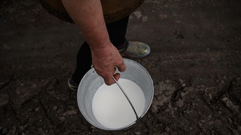 Un ganadero carga con un cubo de leche recién ordeñada en una imagen de archivo.