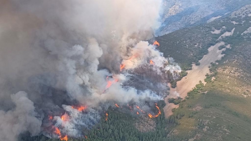 Incendio en Ladrillar - UME