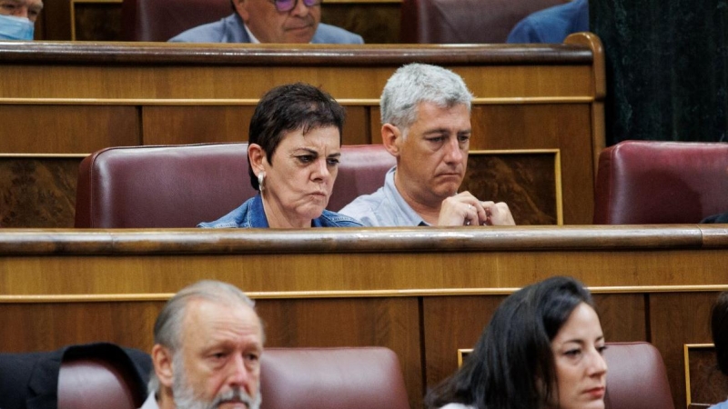 La portavoz de EH Bildu en el Congreso, Mertxe Aizpurua, y el portavoz adjunto de EH Bildu en el Congreso, Oskar Matute, en una sesión plenaria, en el Congreso de los Diputados, a 23 de junio de 2022, en Madrid.