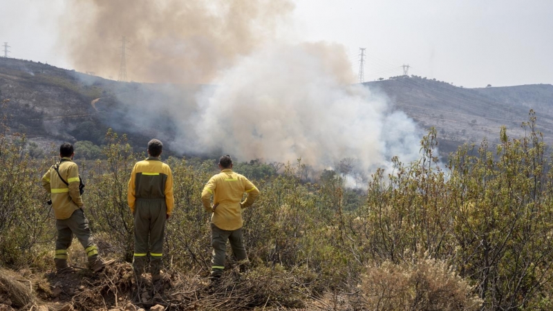Incendio activo en el Parque Nacional de Monfragüe, en el municipio de Deleitosa (Cáceres).