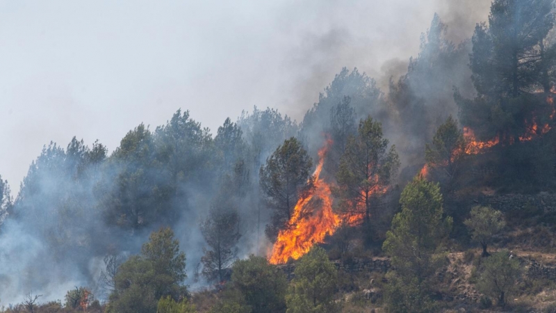 (18/7/22) Vista general de un nuevo incendio cerca del antiguo vertedero del Pont de Vilomara, a 18 de julio de 2022, Barcelona, Catalunya (España).