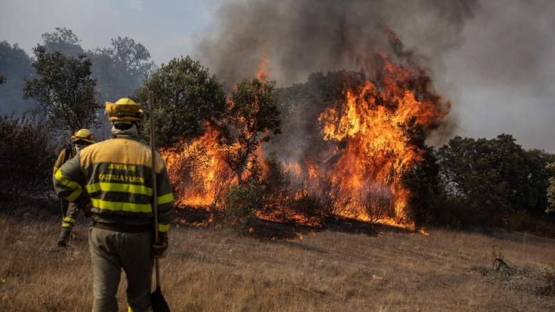 (18/7/22) Varios bomberos trabajan en la extinción del fuego del incendio de Losacio, a 18 de julio de 2022, en Pumarejo de Tera, Zamora, Castilla y León (España).