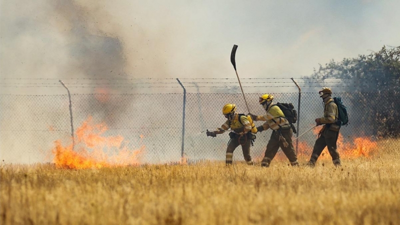 Bomberos de las Brigadas de Refuerzo en Incendios Forestales (BRIF) combaten un incendio en un campo de trigo en Tábara, Zamora , en la segunda ola de calor del año, en España, el 18 de julio de 2022.