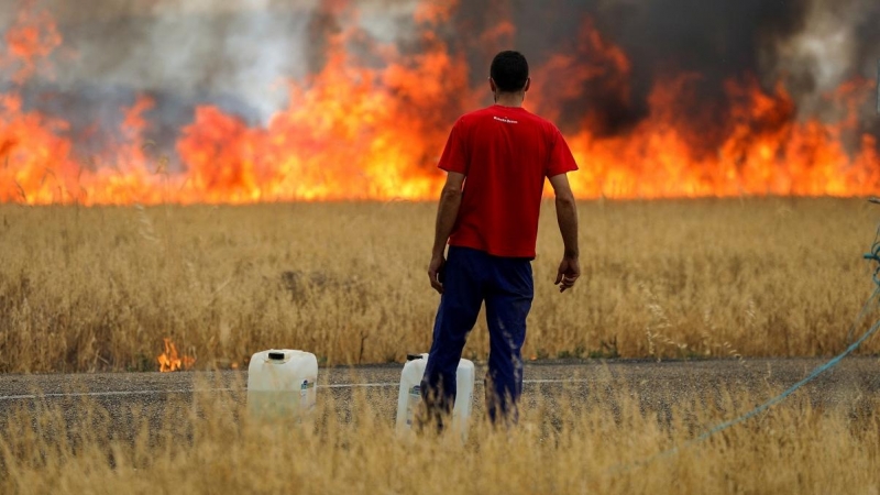 Un pastor observa un incendio en un campo de trigo entre Tabara y Losacio, durante la segunda ola de calor del año, en la provincia de Zamora.