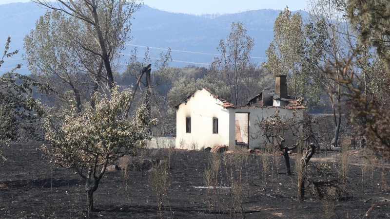 Vista de la zona de San Martín de Tábara (Zamora), afectada por el incendio forestal de Losacio (Zamora).
