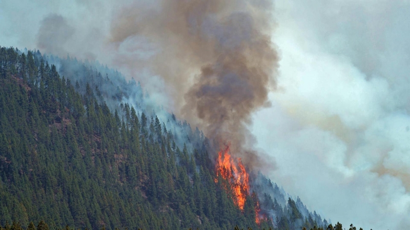 El incendio forestal que comenzó el jueves en Tenerife ha afectado ya a unas 2.000 hectáreas, tiene unos 20 kilómetros de perímetro y presenta dificultades para su control debido a una meteorología cambiante.