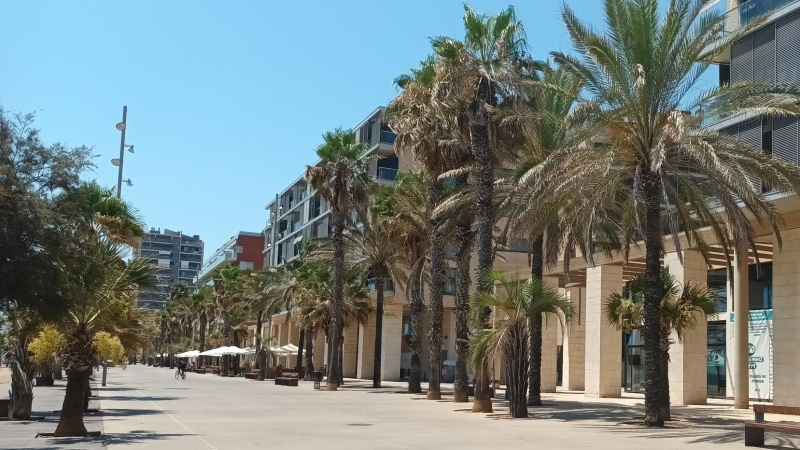 Habitatges construïts al passeig marítim de Badalona.