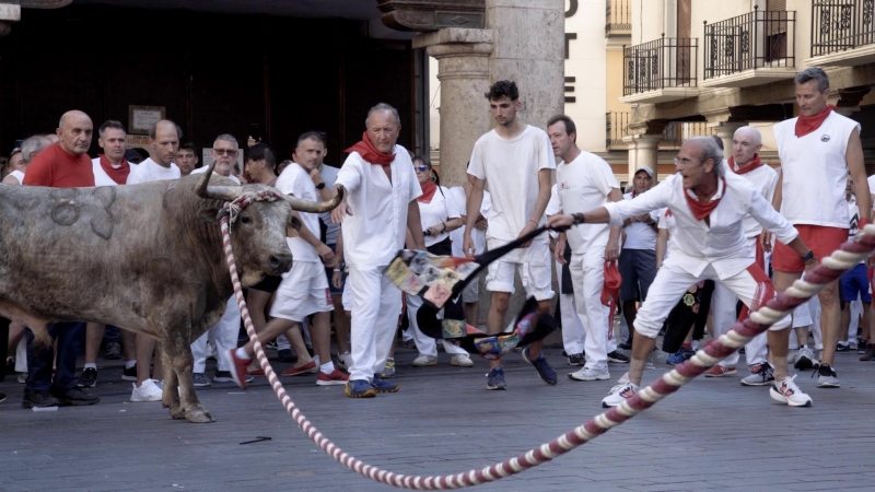 Toro ensogado en los festejos de Teruel (Aragón) el pasado mes de julio.