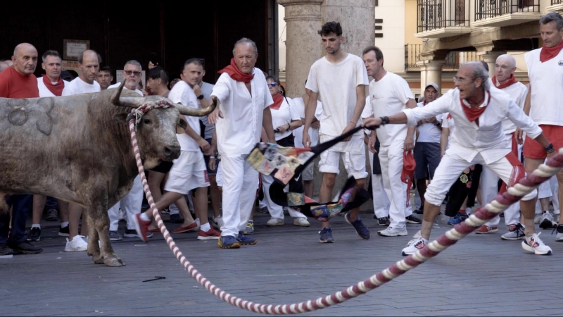 Toro ensogado en los festejos de Teruel (Aragón) el pasado mes de julio.