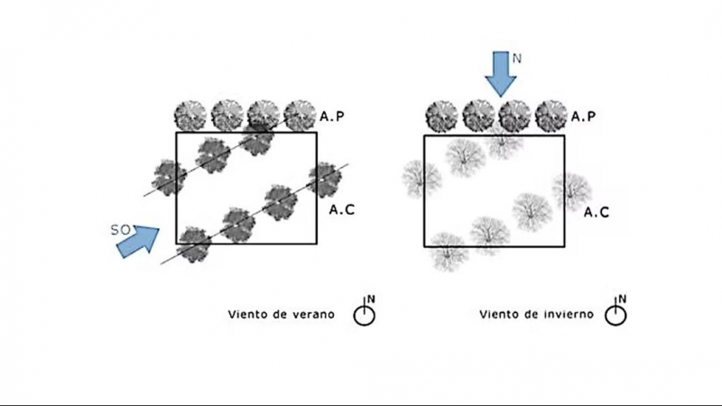 Estrategias de colocación de los arboles caducos en líneas de viento para configurar corredores de viento.