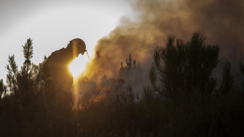 Un bombero forestal trabaja en la extinción del incendio que permanece activo en Verín (Ourense) y que ya ha calcinado 600 hectáreas.