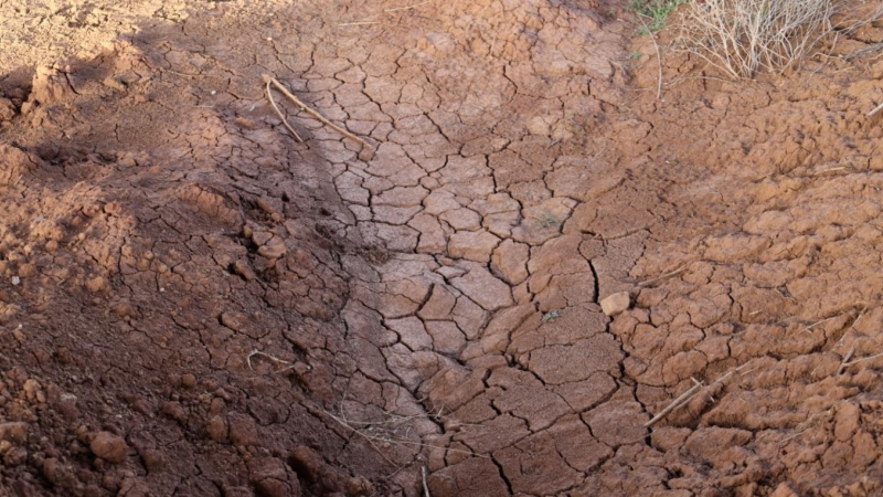 (10/2/2022) Evidencias de sequía en el Embalse de La Vega del Jabalón, a 10 de febrero de 2022, en Calzada de Calatrava, Ciudad Real.