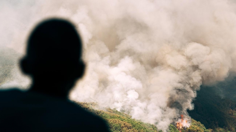 Un hombre observa la columna de humo junto a la urbanización El Picadero, de Pedro Bernardo.