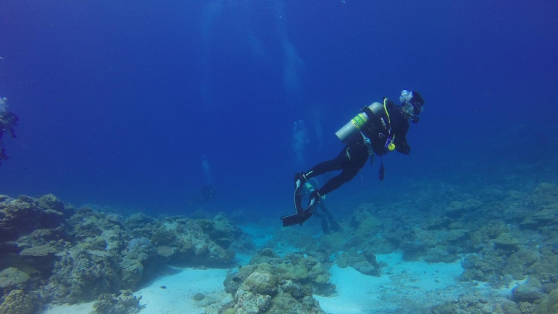 Imagen de un buceador bajo el agua, observando rocas en el fondo del mar.