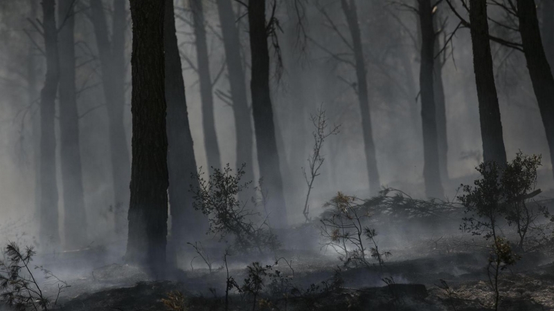 Incendio en el entorno de Añón de Moncayo, cerca de la localidad de Borja (Zaragoza), a 15 de agosto de 2022.