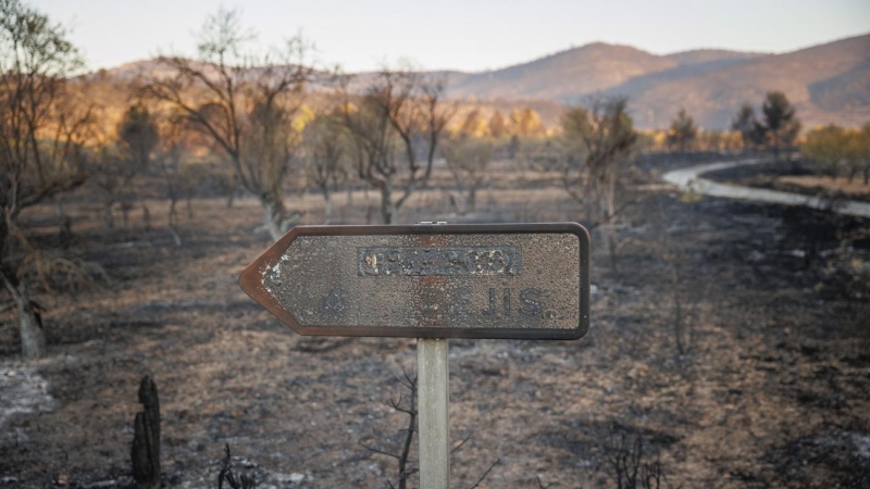 20/08/2022-Paisaje calcinado del término municipal de El Toro (Castellón) por el incendio forestal que se declaró en el término municipal de Bejís, en el interior de la provincia de Castellón