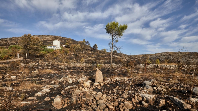 El incendio forestal de la Vall d'Ebo, en el interior norte de la provincia de Alicante, se encuentra estable.