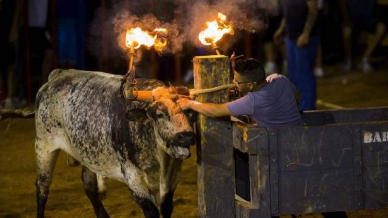 La quinta muerte en festejos taurinos en la Comunidad Valenciana, en Almedíjar (Castellón)