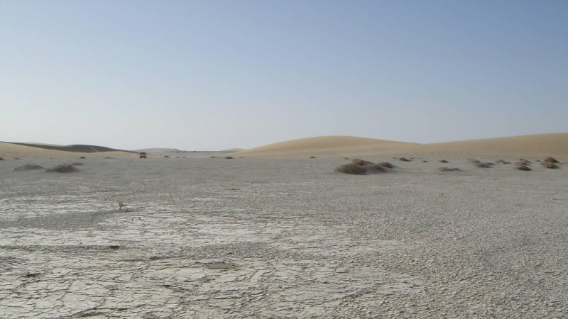 24/08/2022 El desierto del Djurab, donde se encuentran los yacimientos de fósiles que dieron lugar a los restos postcraneales de 'Sahelanthropus tchadensis'.