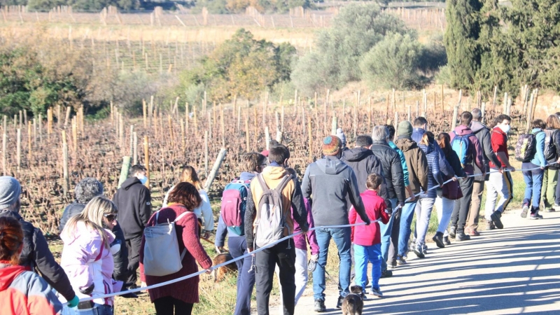 22/01/2022 - Caminada de fa uns mesos a l'Espolla contra els parcs eòlics a l'Albera.