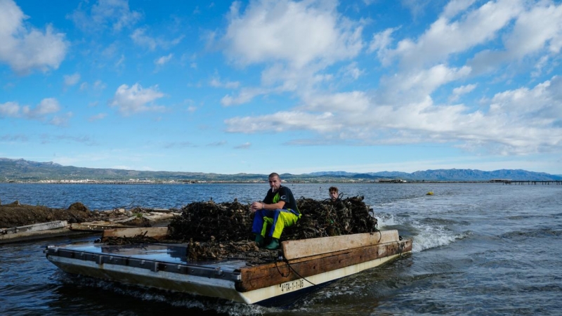 25/08/2022 las altas temperaturas se han cobrado unas víctimas palpables a través del calentamiento del agua: los mejillones del Delta del Ebro, a 23 de agosto de 2022, en Tarragona.