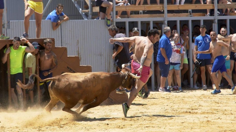 Imagen de archivo de un festejo 'bous al carrer'. EFE/Natxo Francés