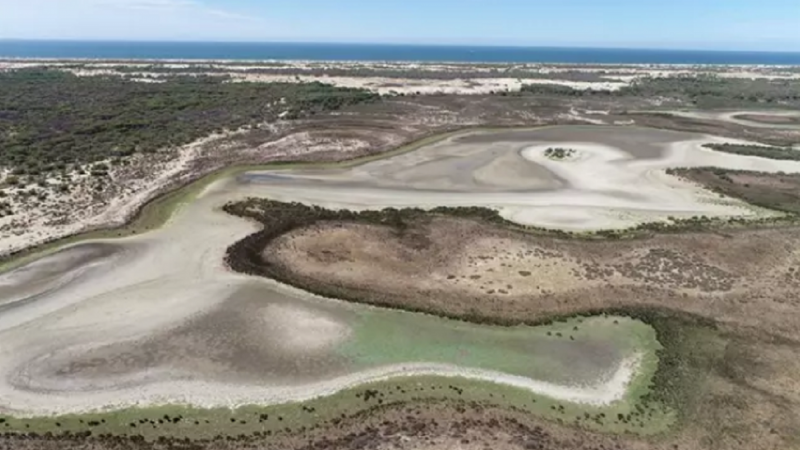La laguna de Santa Olalla, en Doñana, en una imagen tomada en agosto de 2022
