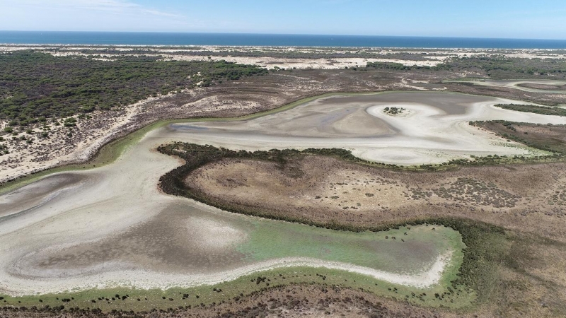 La laguna de Santa Olalla, en Doñana, en una imagen tomada en agosto de 2022. — ESTACIÓN BIOLÓGICA DE DOÑANA / CSIC / REUTERS