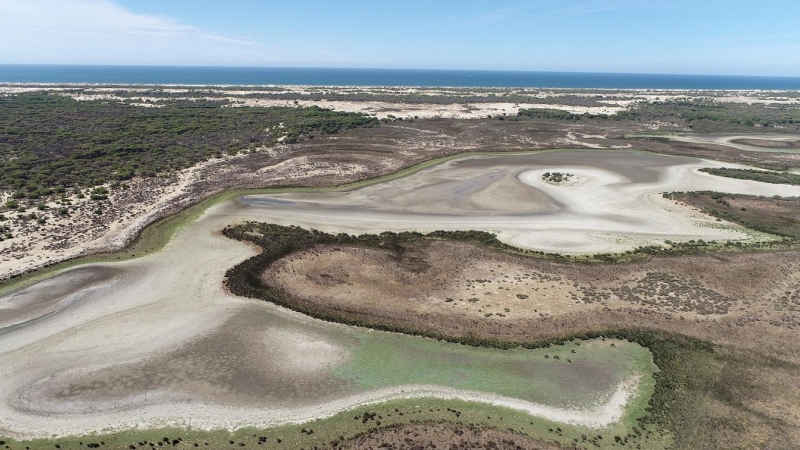 La laguna de Santa Olalla, en Doñana, en una imagen tomada en agosto de 2022. — ESTACIÓN BIOLÓGICA DE DOÑANA / CSIC / REUTERS