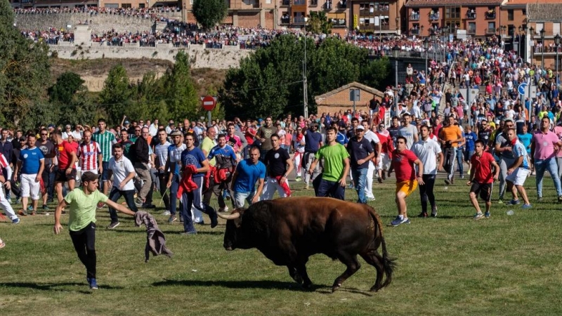 Imagen de archivo del Toro de la Vega en Tordesillas.