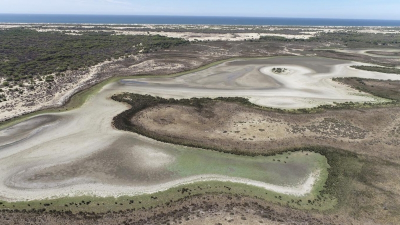 La laguna de Santa Olalla, la laguna permanente más grande de Doñana y la última que ha mantenido agua en agosto, a 3 de septiembre de 2022.