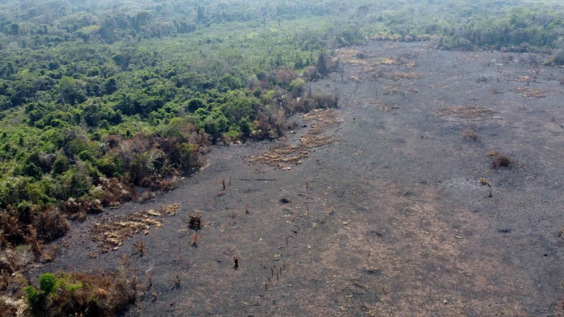 Fotografía aérea tomada con un dron muestra un bosque quemado