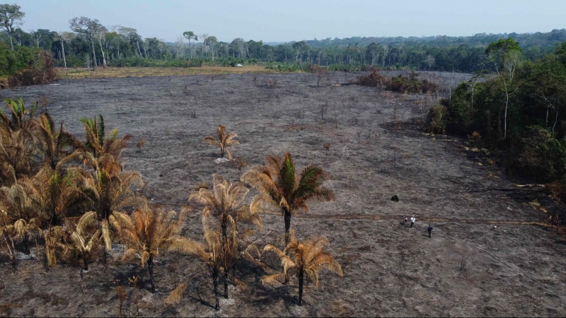vFotografía aérea tomada con un dron muestra un bosque quemado, el 4 de septiembre de 2022 en el departamento de Madre de Dios (Perú)