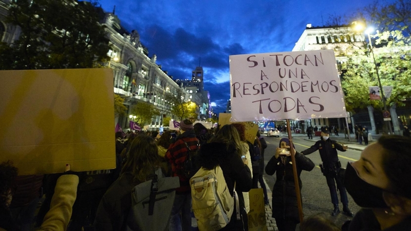 Pancartas en la manifestación del 25 de noviembre en Madrid.