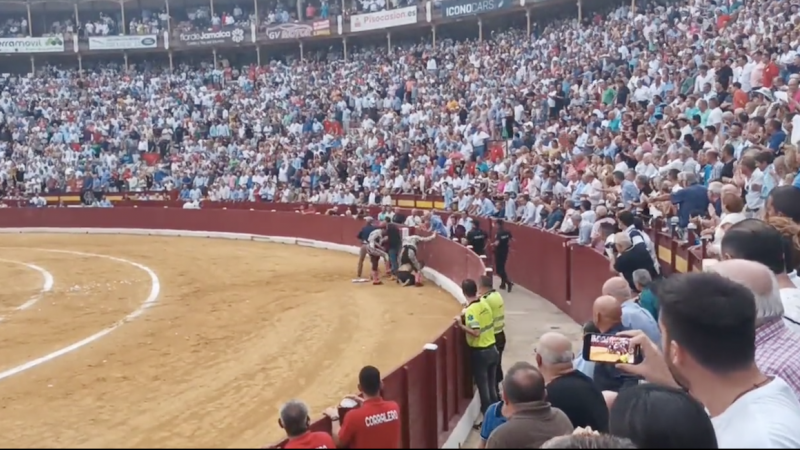 Instante en el que el joven animalista es golpeado por varios banderilleros y personal de la Plaza de Toros de Murcia.