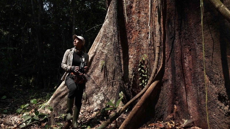 05/09/2022-La defensora ambiental y fundadora de Arbio, Tatiana Espinosa, es vista junto a un shihuahuaco de aproximadamente 1000 años, el 5 de septiembre de 2022 en Madre de Dios (Perú). En plena amazonía peruana yace la inmensa copa verde y las gigantes