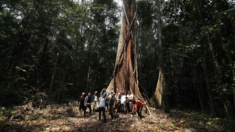 05/09/2022-Activistas y defensores ambientales son vistos junto a un shihuahuaco de aproximadamente 1000 años, el 5 de septiembre de 2022 en Madre de Dios (Perú).