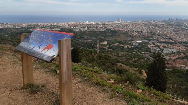 Mirador de Puig Castellar.