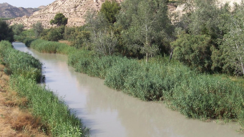 Fotografía del río Segura a su paso por Murcia.