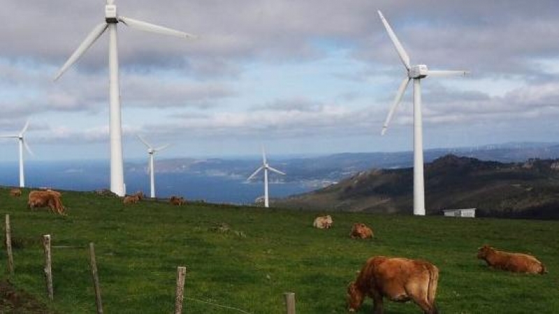 29/11/22 Molinos aerogeneradores en monte de Galicia frente al mar.