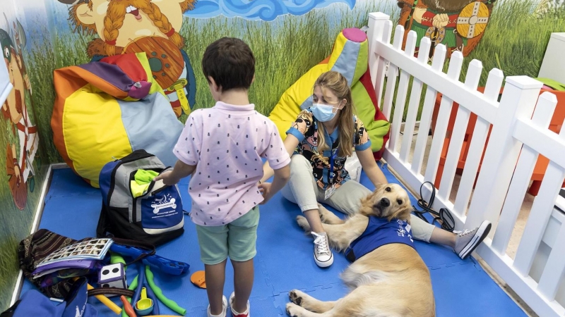 Un niño del hospital Vélez-Málaga jugando con 'Gisela', la Golden de 'Perruneando'- 03/10/