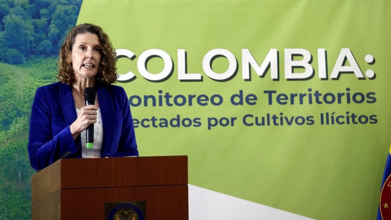 La directora regional de UNODC para la región Andina y el Cono Sur, Candice Welsch, en la presentación en Bogotá (Colombia) del informe anual de la Oficina de las Naciones Unidas contra la Droga y el Delito. EFE/ Mauricio Dueñas Castañeda