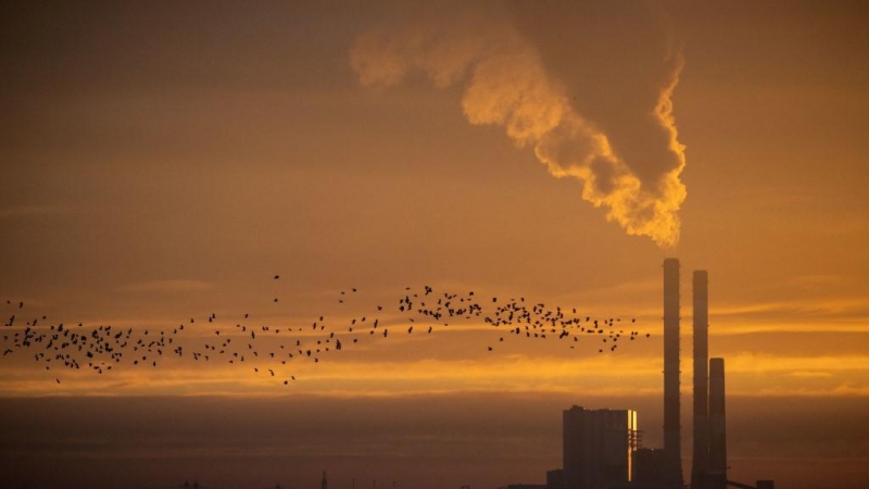 Pájaros volando mientras sale el sol sobre la central eléctrica a carbón de la multinacional francesa de servicios eléctricos EDF en Cordemais Lavau-sur-Loire, en el oeste de Francia.